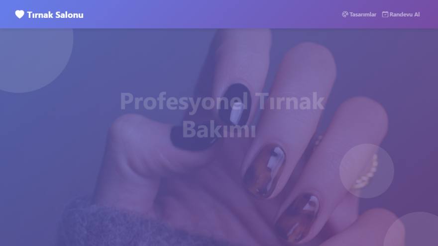 Tırnak Salonu Yönetim Sistemi arayüz görünümü